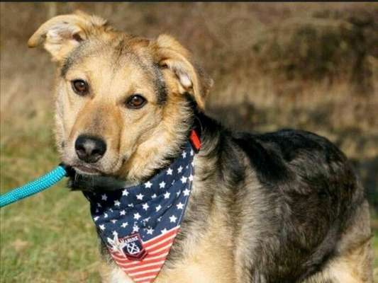 Erstes Bild-Beitrag-Bild