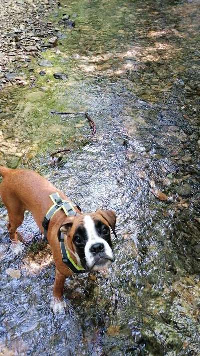 150. Foto Challaenge:  Die Augen, der Spiegel der Seele-Beitrag-Bild