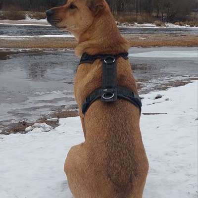 "Wege zur Freundschaft" (Ulli Reichmann)-Beitrag-Bild