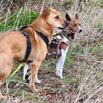 "Wege zur Freundschaft" (Ulli Reichmann)-Beitrag-Bild
