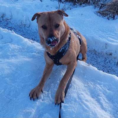 "Wege zur Freundschaft" (Ulli Reichmann)-Beitrag-Bild