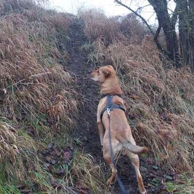 "Wege zur Freundschaft" (Ulli Reichmann)-Beitrag-Bild