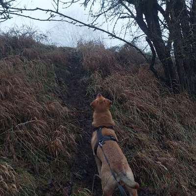 "Wege zur Freundschaft" (Ulli Reichmann)-Beitrag-Bild