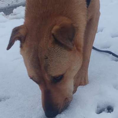 "Wege zur Freundschaft" (Ulli Reichmann)-Beitrag-Bild