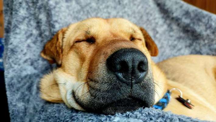 Foto Challenge Nr. 134-Beitrag-Bild