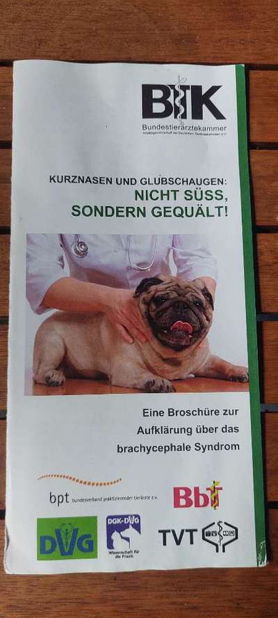 Qualzucht - Warum Aufklärung alleine nicht reicht-Beitrag-Bild