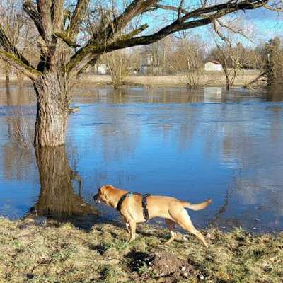 "Wege zur Freundschaft" (Ulli Reichmann)-Beitrag-Bild