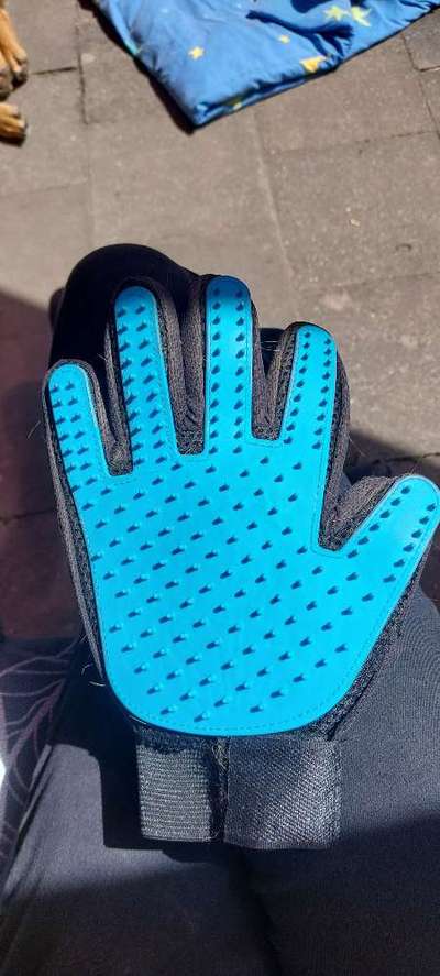 Bürste für empfindlichen Labrador-Beitrag-Bild