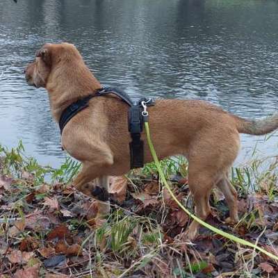 "Wege zur Freundschaft" (Ulli Reichmann)-Beitrag-Bild