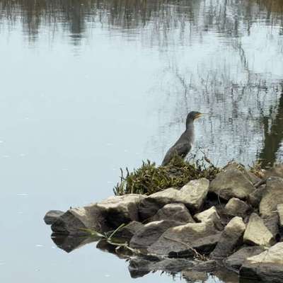 "Wege zur Freundschaft" (Ulli Reichmann)-Beitrag-Bild