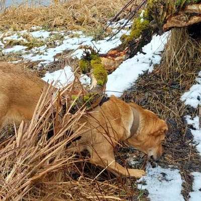 "Wege zur Freundschaft" (Ulli Reichmann)-Beitrag-Bild