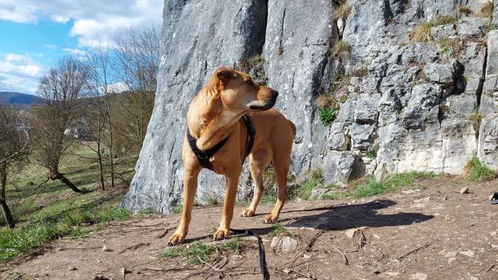 Freddys Kummerkasten-Beitrag-Bild
