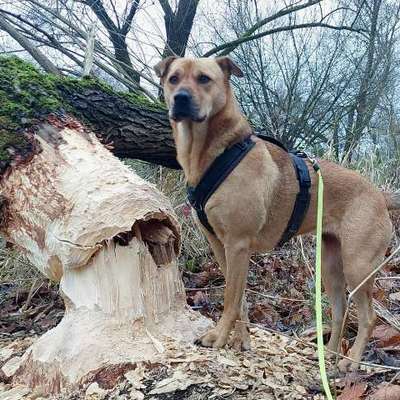 "Wege zur Freundschaft" (Ulli Reichmann)-Beitrag-Bild