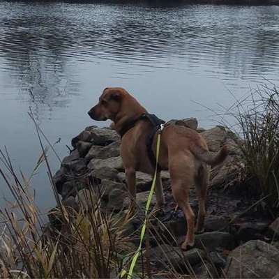 "Wege zur Freundschaft" (Ulli Reichmann)-Beitrag-Bild