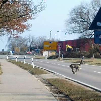 "Wege zur Freundschaft" (Ulli Reichmann)-Beitrag-Bild