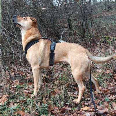 "Wege zur Freundschaft" (Ulli Reichmann)-Beitrag-Bild