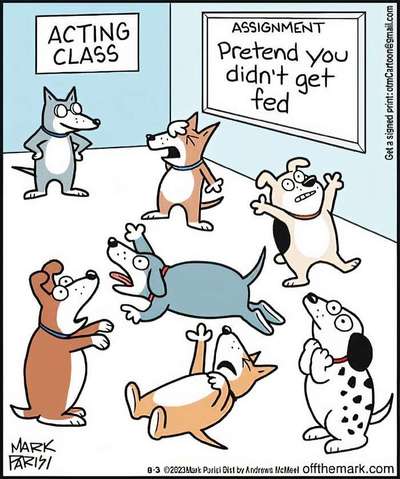 Hunde Memes-Beitrag-Bild