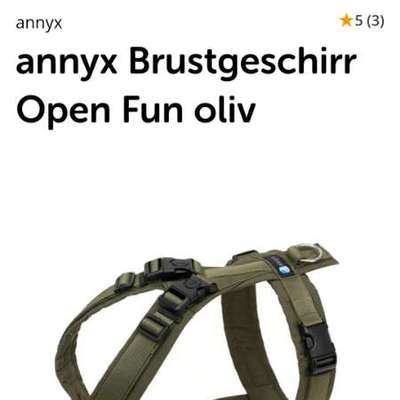 Geschirr anziehen-Beitrag-Bild