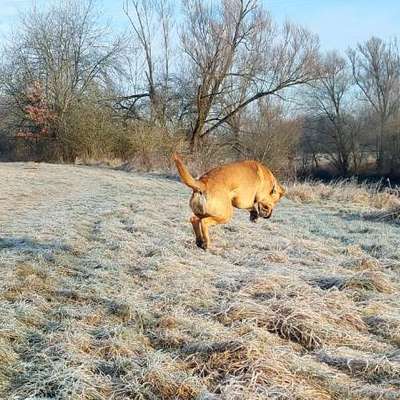 "Wege zur Freundschaft" (Ulli Reichmann)-Beitrag-Bild