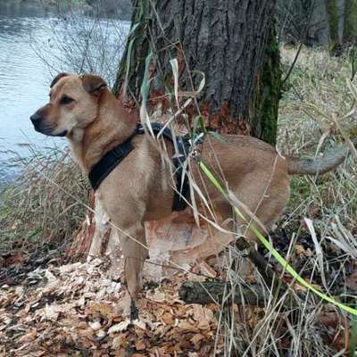 "Wege zur Freundschaft" (Ulli Reichmann)-Beitrag-Bild