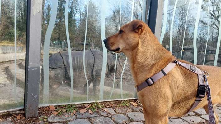 Freddys Kummerkasten-Beitrag-Bild