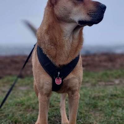 Welche Jacke für den Winter ?-Beitrag-Bild