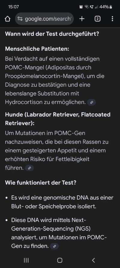 Qualzucht - Warum Aufklärung alleine nicht reicht-Beitrag-Bild