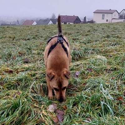 "Wege zur Freundschaft" (Ulli Reichmann)-Beitrag-Bild