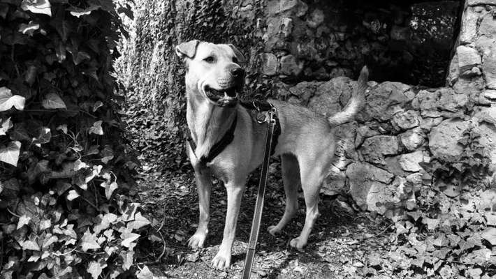 70. Handy-Fotochallenge: Zeitreisen-Beitrag-Bild