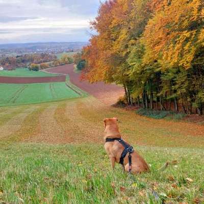 "Wege zur Freundschaft" (Ulli Reichmann)-Beitrag-Bild