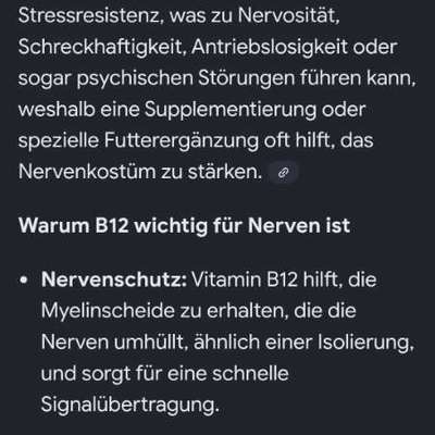 Ängste-Beitrag-Bild