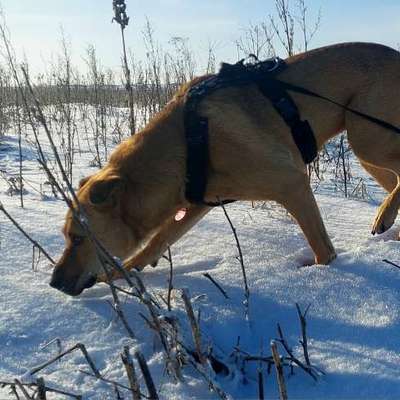 "Wege zur Freundschaft" (Ulli Reichmann)-Beitrag-Bild