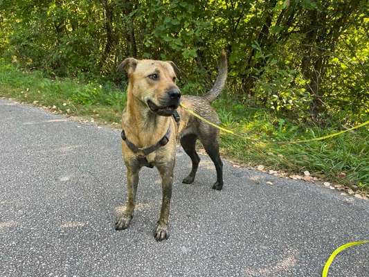 Freddys Kummerkasten-Beitrag-Bild