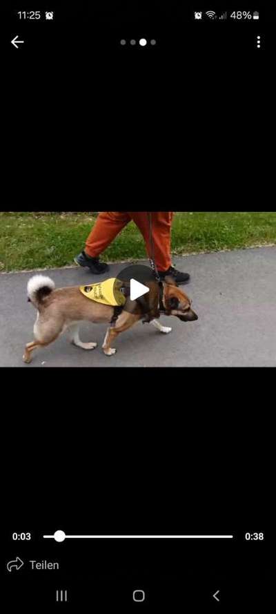 Gangbild/-analyse-Beitrag-Bild