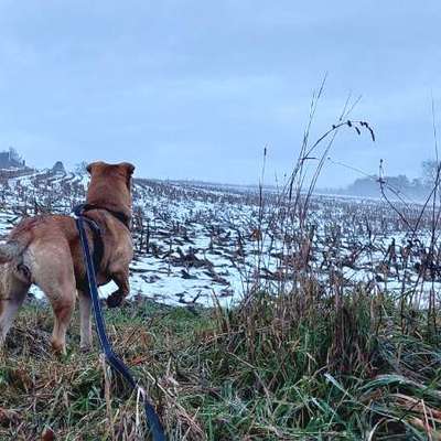 "Wege zur Freundschaft" (Ulli Reichmann)-Beitrag-Bild