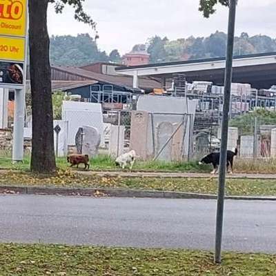 Was hat euch heute genervt?-Beitrag-Bild