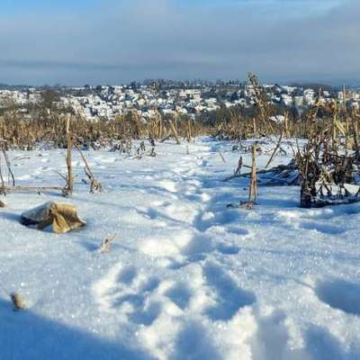 "Wege zur Freundschaft" (Ulli Reichmann)-Beitrag-Bild