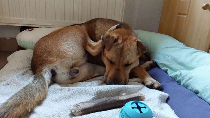 "Die eingefangene Magie des Augenblicks"-Beitrag-Bild