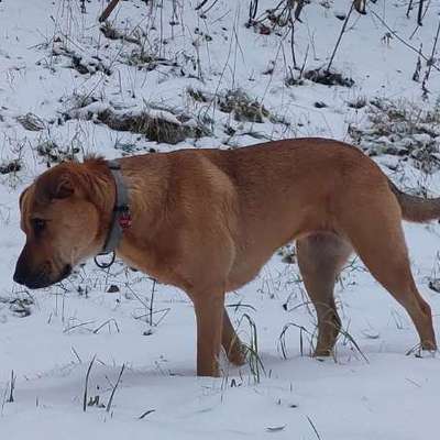 "Wege zur Freundschaft" (Ulli Reichmann)-Beitrag-Bild