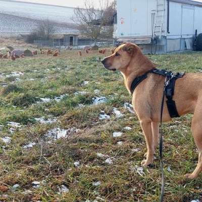 "Wege zur Freundschaft" (Ulli Reichmann)-Beitrag-Bild