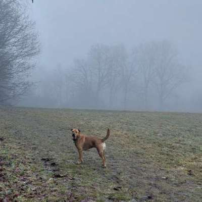 "Wege zur Freundschaft" (Ulli Reichmann)-Beitrag-Bild