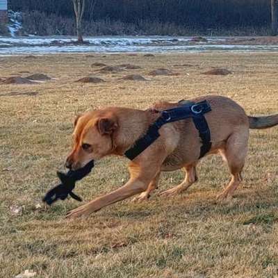 "Wege zur Freundschaft" (Ulli Reichmann)-Beitrag-Bild