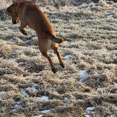 "Wege zur Freundschaft" (Ulli Reichmann)-Beitrag-Bild