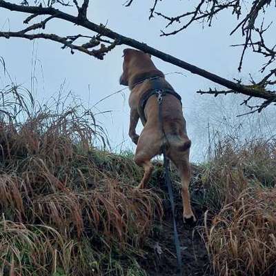 "Wege zur Freundschaft" (Ulli Reichmann)-Beitrag-Bild