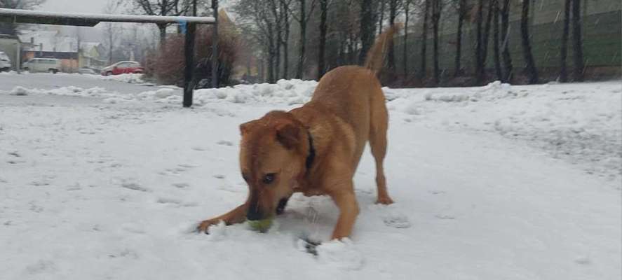 Spielaufforderung und Rassenunterschiede-Beitrag-Bild