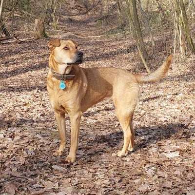 "Wege zur Freundschaft" (Ulli Reichmann)-Beitrag-Bild