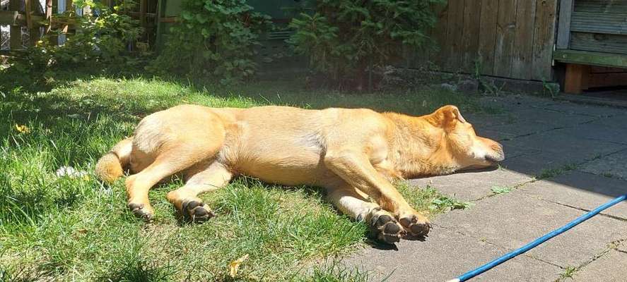 Was hat euch heute genervt?-Beitrag-Bild