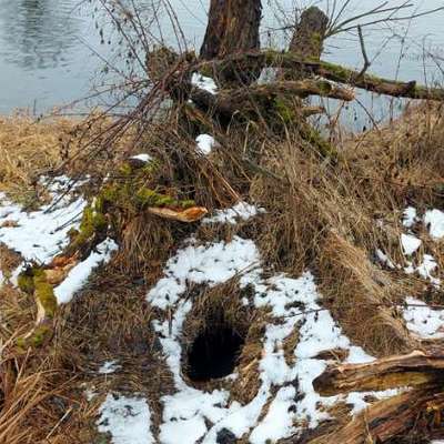 "Wege zur Freundschaft" (Ulli Reichmann)-Beitrag-Bild