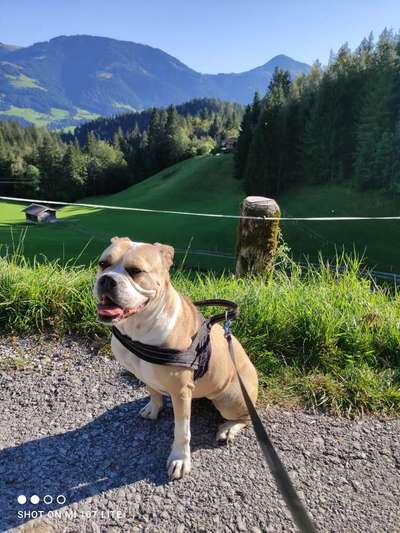 Fotochallenge Nr 107-Beitrag-Bild