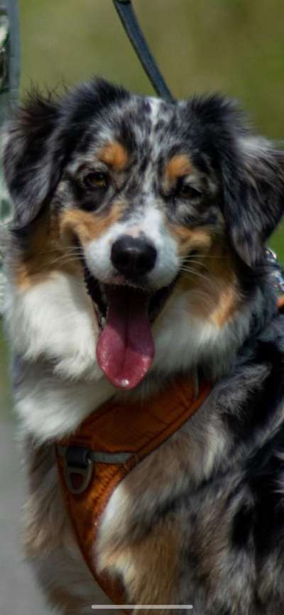 Fotochallange Nr. 57     PORTRÄT.   Beendet!!!!!!!!-Beitrag-Bild